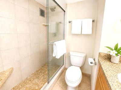 Walk in shower with bright clean finishes and plush towels