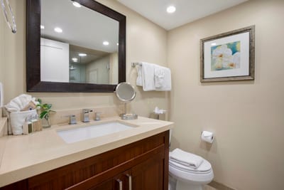 Pamper yourself in a serene, spa-like bathroom featuring a sleek vanity with ample counter space and modern fixtures