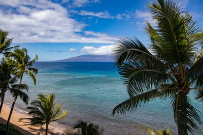 Where turquoise waters kiss golden sand and every breeze whispers, 'You’re exactly where you’re meant to be