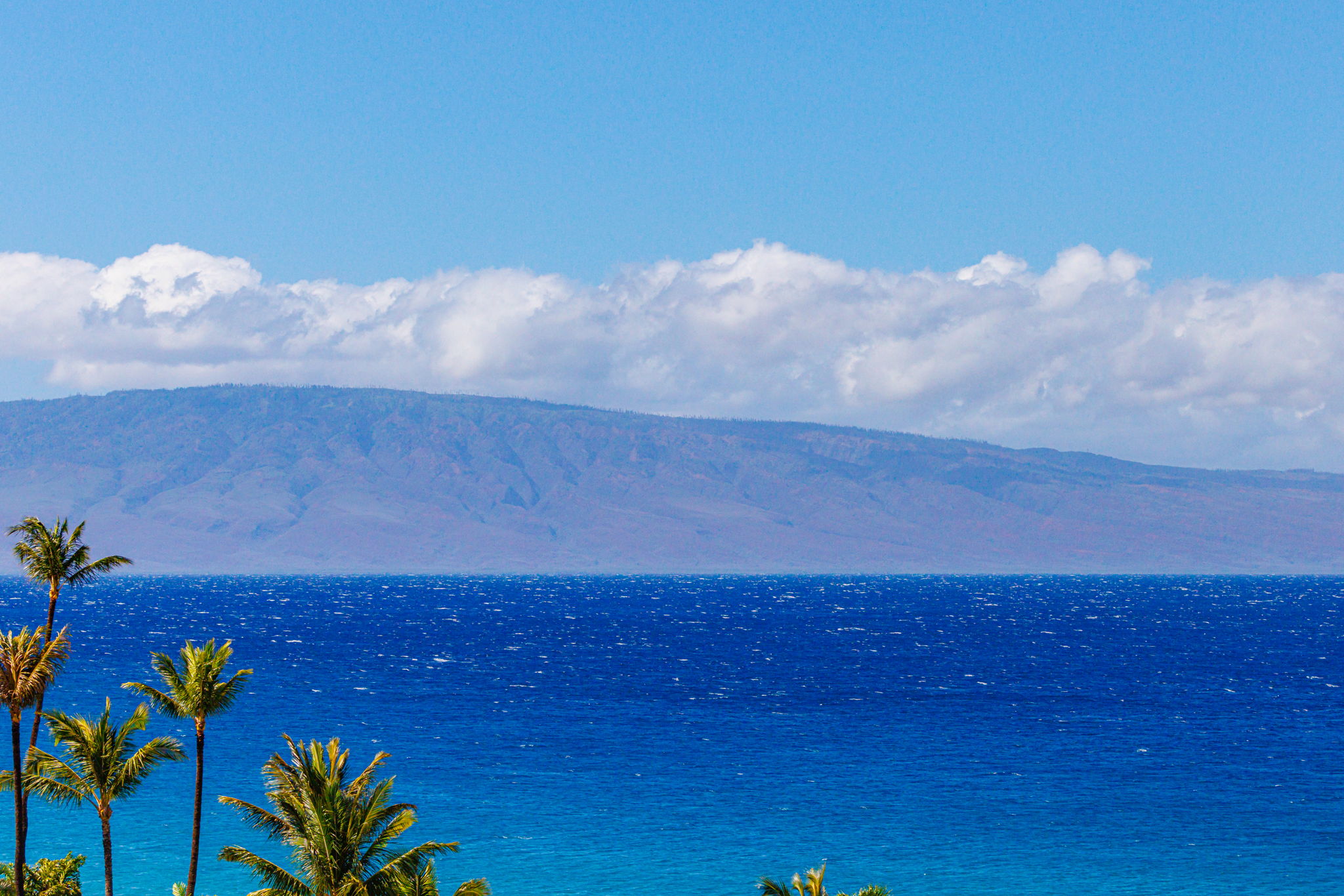 Marvel at panoramic views of Molokai and the deep blue Pacific right from your lanai.