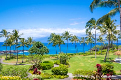Wake to this tropical panorama: winding garden paths, waving palms, and the Pacific twinkling in the morning sun