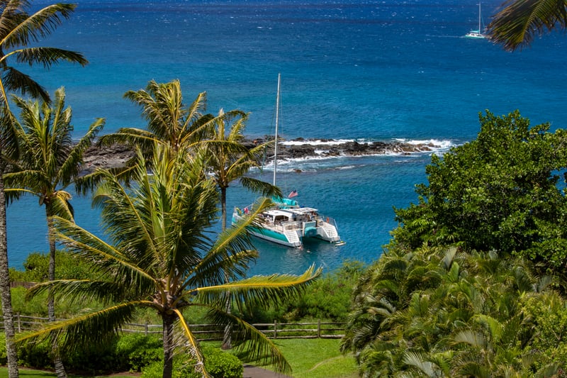 A postcard come to life—turquoise waters, a lazy catamaran, and palm fronds that dance in the trade winds’ hush   