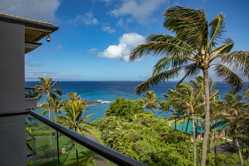 Where verdant palms meet sapphire seas, and every sailboat feels like a gentle nod from the horizon itself   