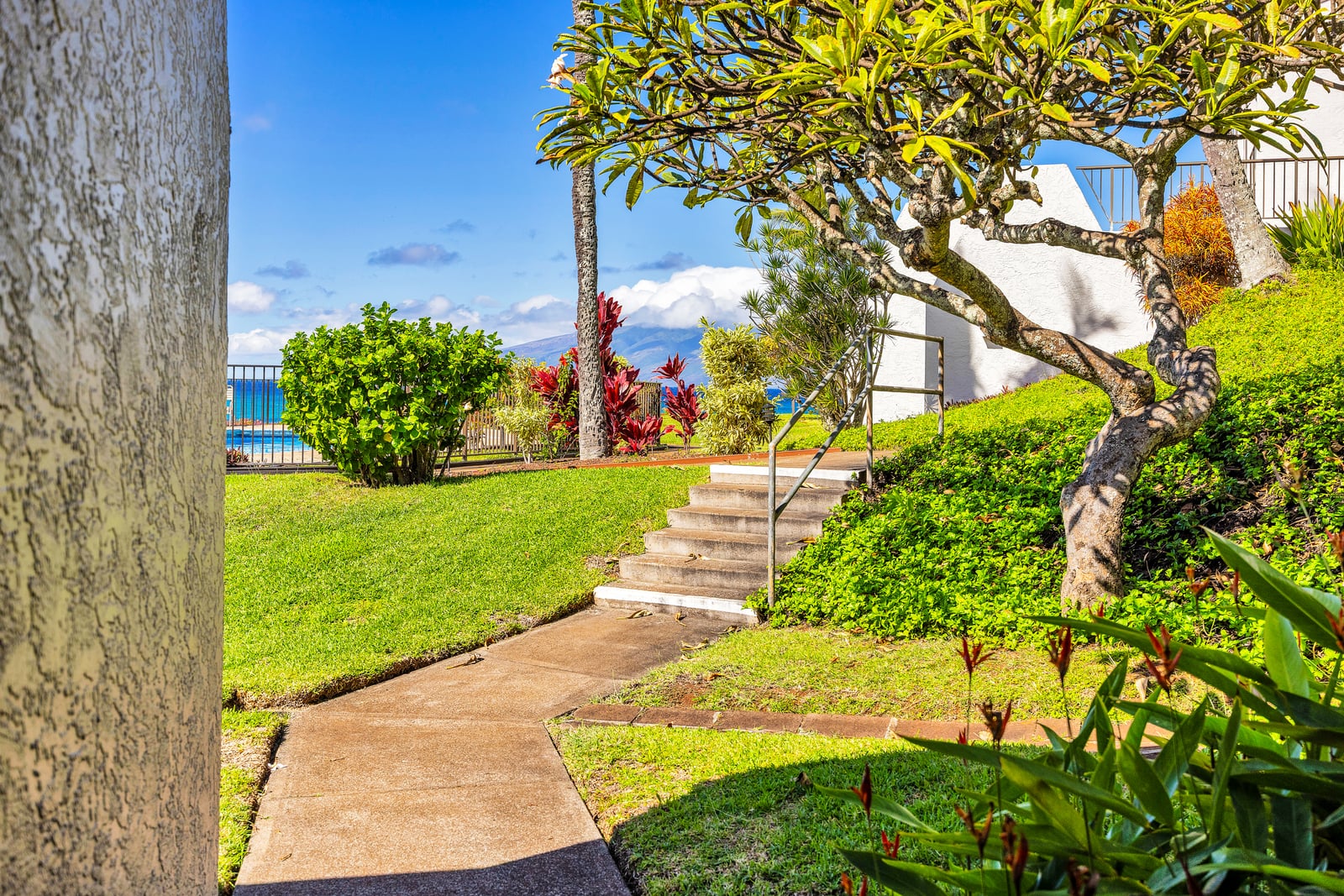 Follow the path and explore the peaceful garden surroundings NAP-A24