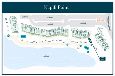 NAP-A24/B42