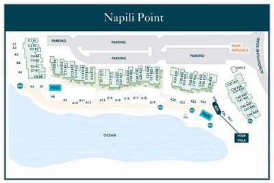 NAP-A25/B42/B43