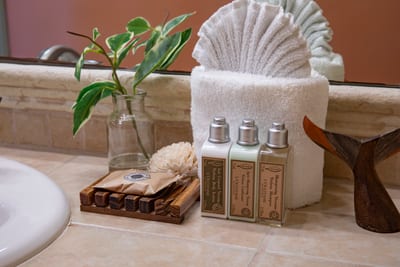 Even the little things sparkle here—your daily routine just got a glow-up with these charming amenities NAP-A25