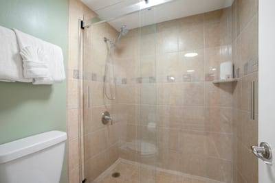 Step into a glass-encased shower where stone-tiled walls and a niche cut-out create a sanctuary of warmth and minimal elegance NAP-A25