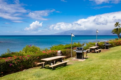 From sunrise swims to sunset BBQs, every moment here is framed by the sea and kissed by the breeze NAP-A25