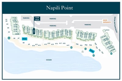NAP-B13/C31