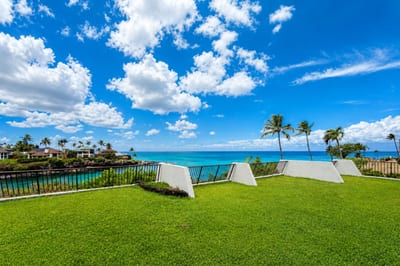 Oceanfront view at Napili Point B31 — turquoise Pacific waters and swaying palms stretch to the horizon