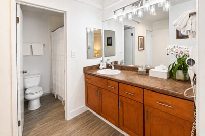 Primary bathroom vanity at Napili Point B31 — spacious counter space with a separate shower and tub room just beyond