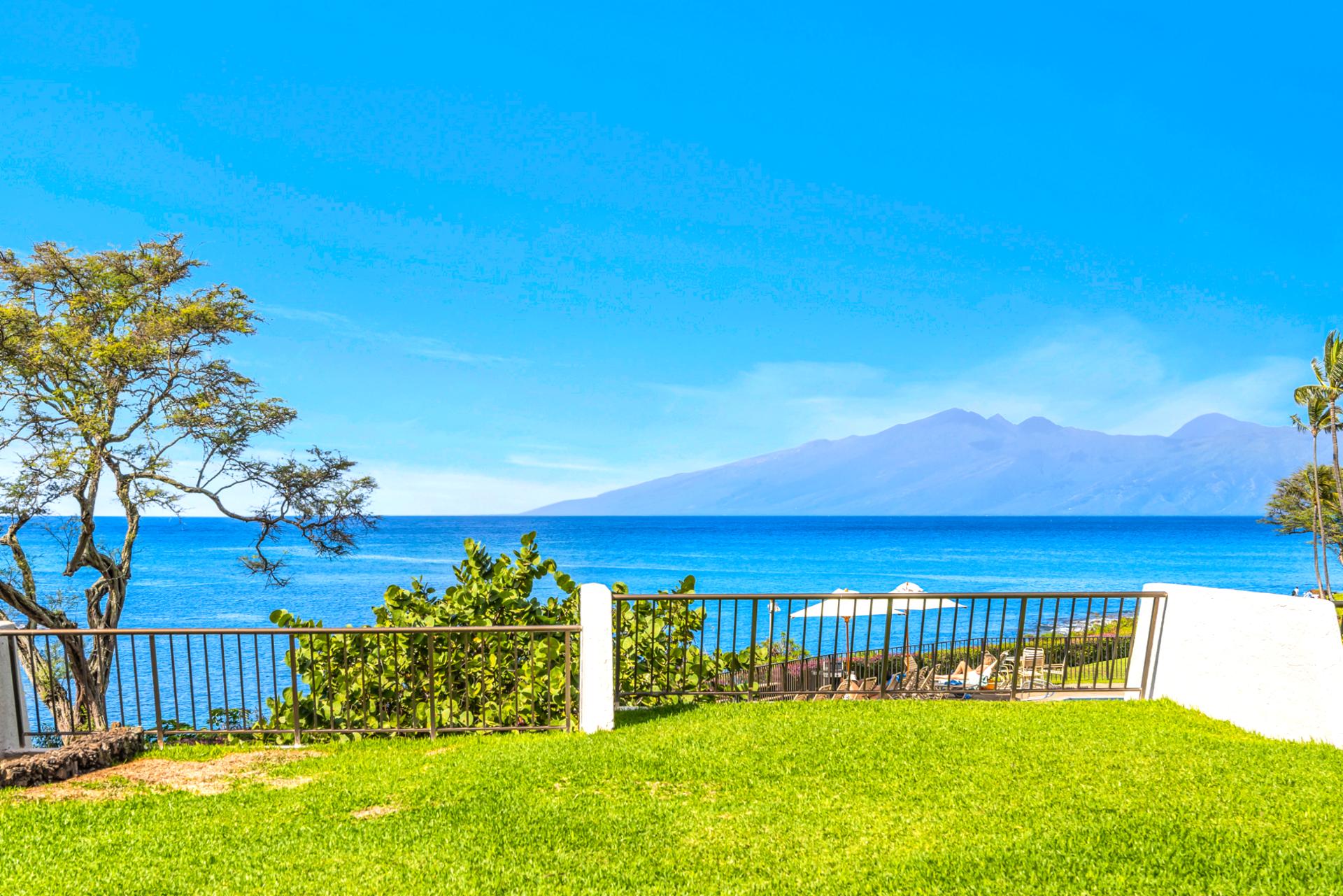 Watch the ocean sparkle under clear skies NAP-B42