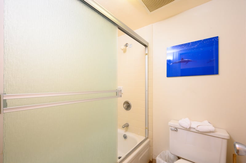 The shower-tub combo is framed in frosted glass, pairing privacy with clean lines beneath soft, natural ambient light NAP-C18