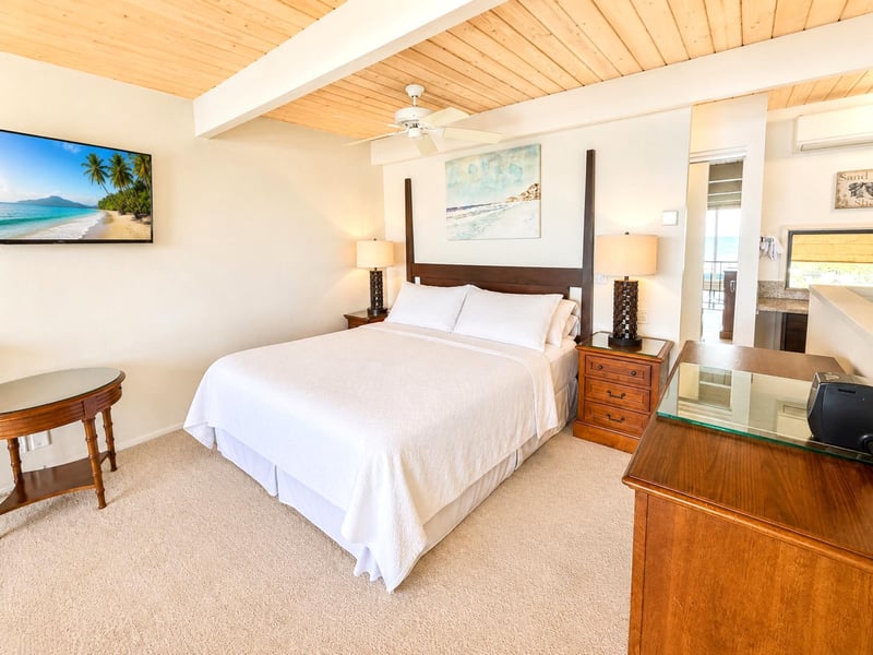 The guest bedroom is bright and inviting with comfortable furnishings and good light NAP-C19