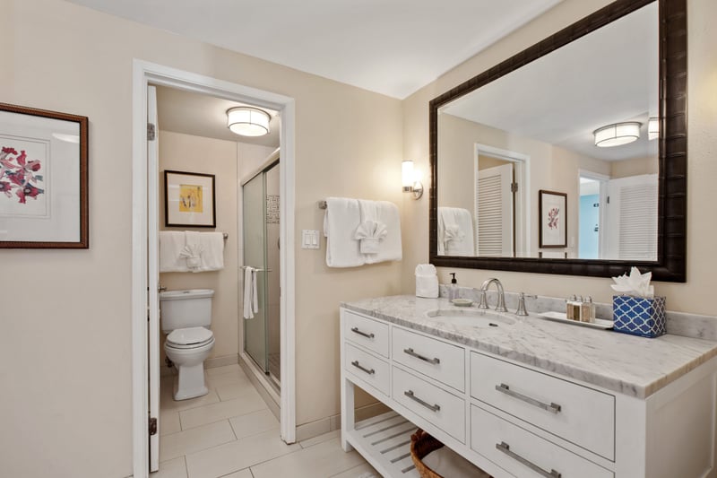 Beautifully remodeled master bathroom
