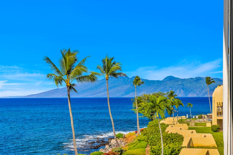 Savor uninterrupted ocean scenery with palm trees in the foreground, a classic Napili Point view you will want to linger over.
