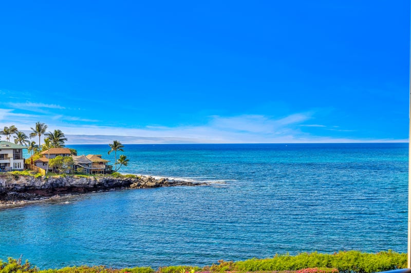 Wide Pacific views stretch across the horizon, setting a dramatic backdrop for sunsets and seasonal whale watching.