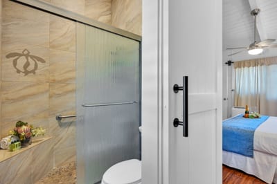 Spa-inspired walk-in shower with elegant tilework and island accents for a refreshing retreat. NAP-C37