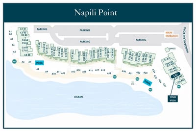 NAP-C42/B43