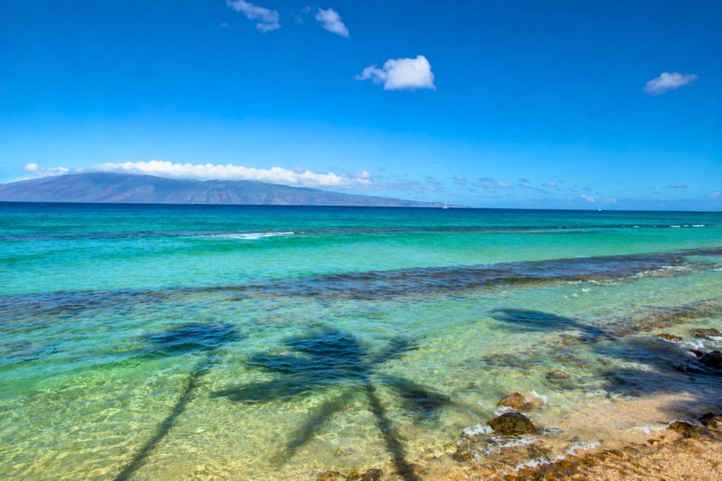 Stunning oceanfront setting with clear blue water just beyond the seawall—true front-row views.