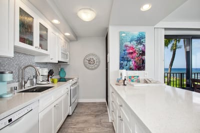 Bright kitchen and entryway with open sightlines to the living area and views beyond.