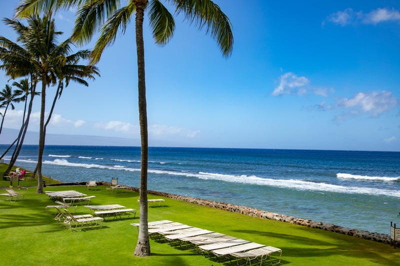 Oceanfront grounds at Papakea A-201 include lawn, palm trees, and endless water views from your private perch.