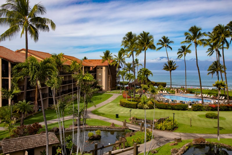 Clouds kiss the mountains, palms sway in rhythm, and your perfect Maui day unfolds by the pool and sea   