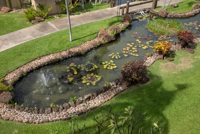 Stroll past lily pads and tiny bridges as koi glide by—this garden pond is pure storybook serenity