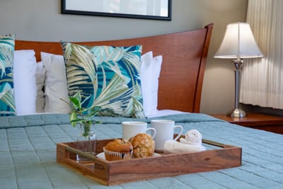 A pillow-top retreat with tropical pillows, wood warmth, and wide windows welcoming island sunshine