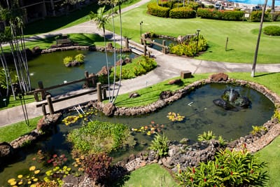 Meander over charming bridges and tranquil koi ponds as lush gardens lead you toward the ocean’s gentle call