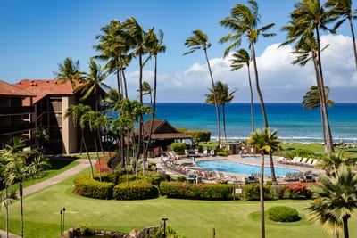 Tropical gardens, swaying palms, and a sparkling pool meet the sea—your serene island retreat awaits you here