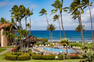 Swim, sunbathe, and soak in spectacular ocean views—this lush island escape brings paradise to your doorstep