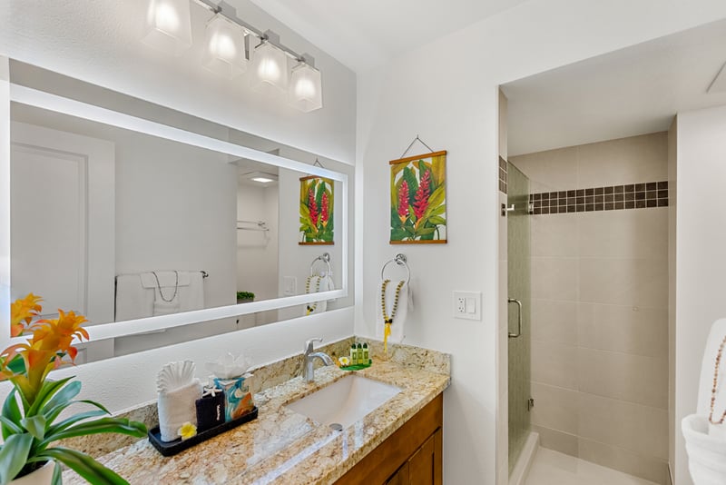 Granite vanity and full mirror offer plenty of space to get ready, with bright lighting and convenient storage below. PKD-104