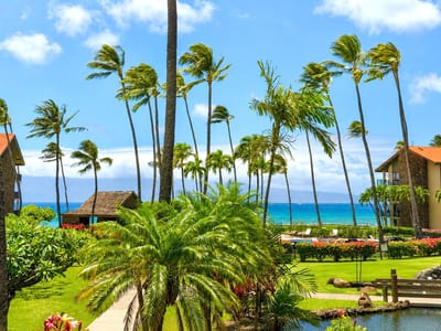 Gaze across tropical landscaping and views of the Pacific from your elevated vantage point