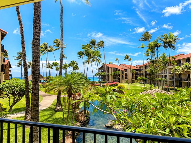 Take in ocean views framed by palm trees and beautifully maintained resort gardens