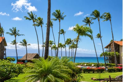 Take in ocean views framed by palm trees and beautifully maintained resort gardens PKD-204
