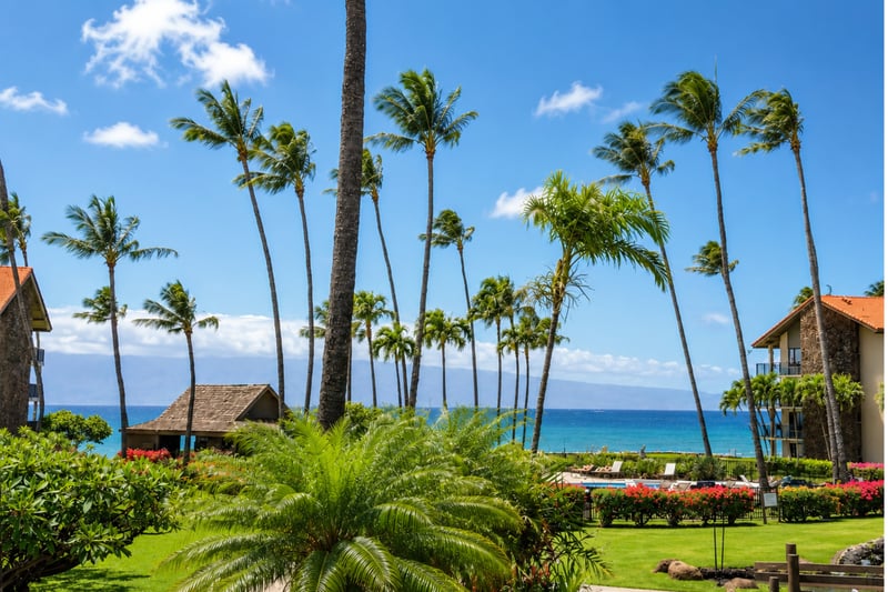 Take in ocean views framed by palm trees and beautifully maintained resort gardens PKD-204