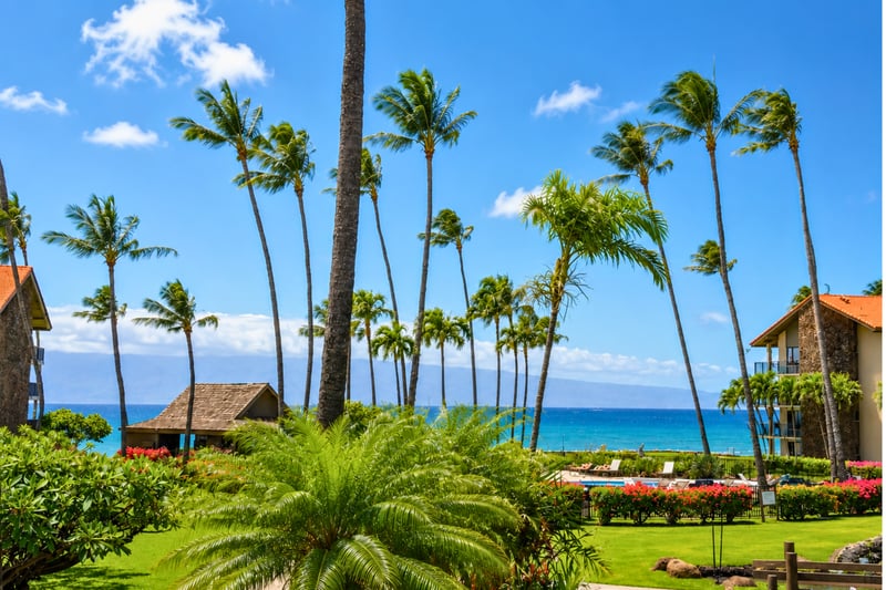 Take in ocean views framed by palm trees and beautifully maintained resort gardens