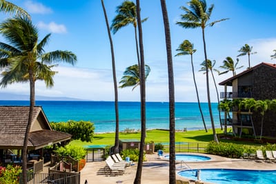 Magnificent island mornings begin here—where palm-lined paths lead you to sapphire waters and endless skies