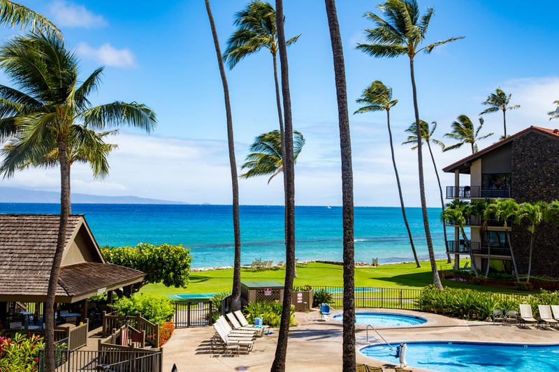 Magnificent island mornings begin here—where palm-lined paths lead you to sapphire waters and endless skies