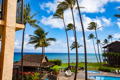 Soak in the panoramic ocean views framed by towering palms—pure Hawaiian magic from your front-row seat