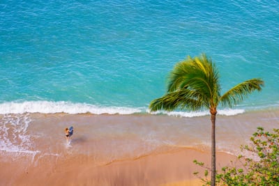 Step directly onto the sand for a morning walk or an afternoon swim. This stunning oceanfront location puts the beach just steps from your door.