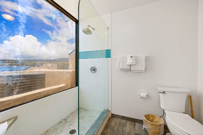 This modern bathroom blends gorgeous views with full privacy.