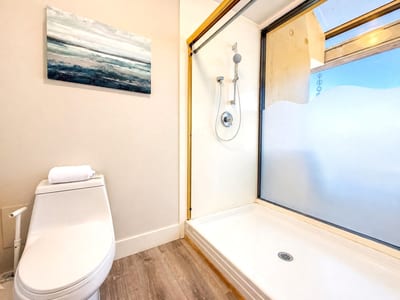 The guest bathroom is clean and well-appointed, with a walk in shower