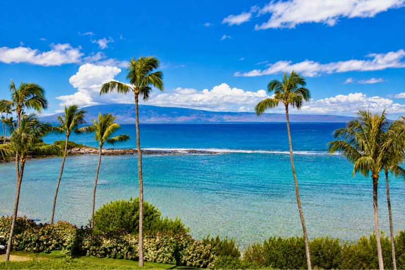 Watch waves roll in under vibrant blue skies framed by tropical foliage