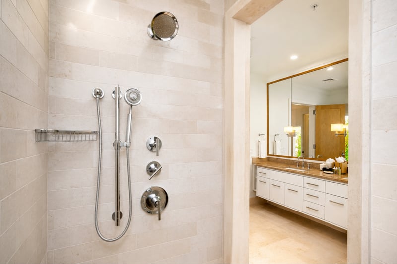 Guest bath shower detail at The Resort at Kapalua Bay MON-2206 — chrome fixtures and an open sightline to the vanity beyond