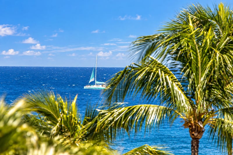 Catamaran sailing the Pacific beyond swaying palms as seen from the villa