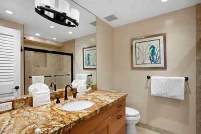 A coastal-inspired guest bath with rich granite, brushed bronze, and sea life art for a natural touch