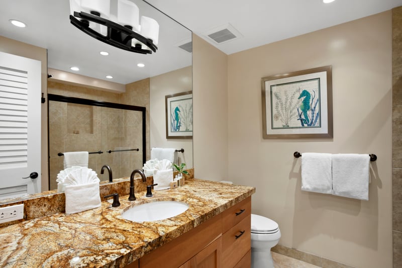 A coastal-inspired guest bath with rich granite, brushed bronze, and sea life art for a natural touch